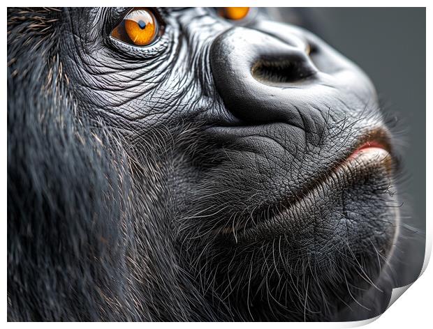 The Silverback Gorilla Print by Steve Smith