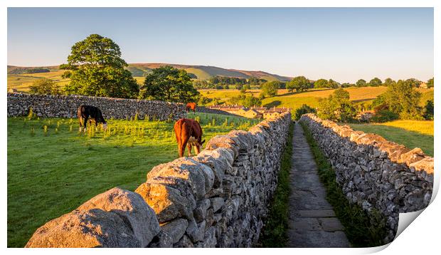 A Golden Path through Yorkshires Countryside Print by Tim Hill