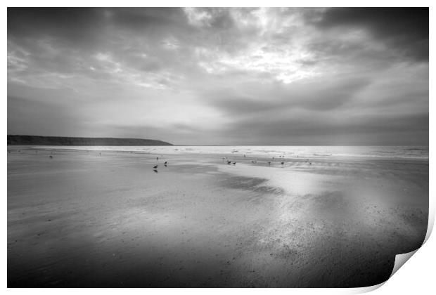 Moody Seagulls on Filey Beach Print by Tim Hill