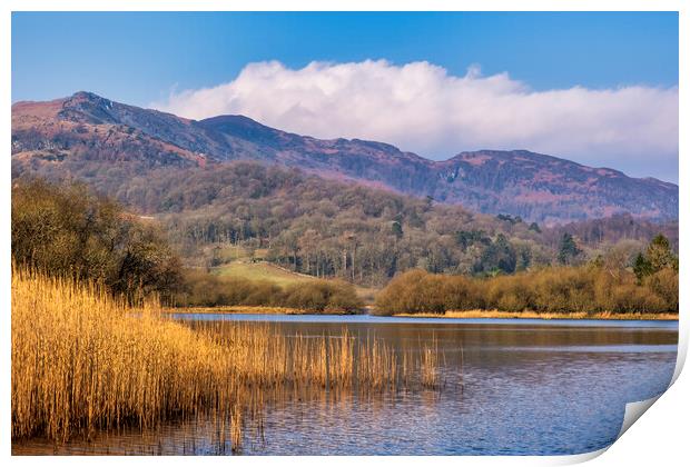 Elterwater Lake District National Park Print by Tim Hill