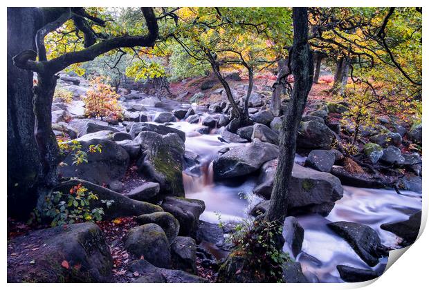 Autumn at Padley Gorge Print by Tim Hill