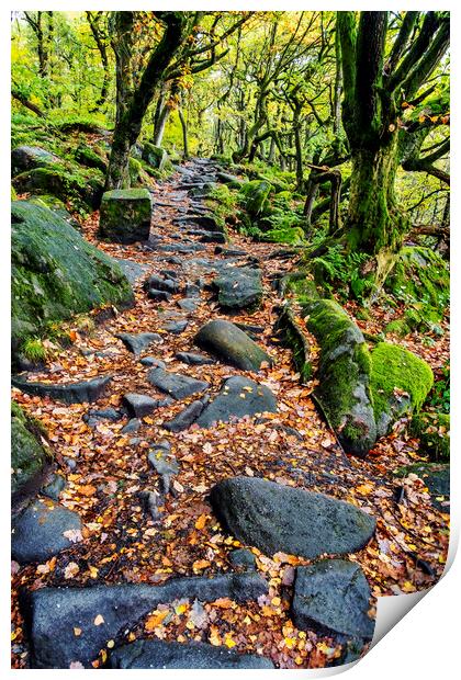 Spectacular Autumn Colors at Padley Gorge Print by Tim Hill