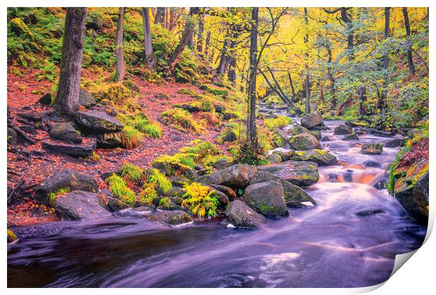 Enchanting Autumn Walk in Padley Gorge Print by Tim Hill