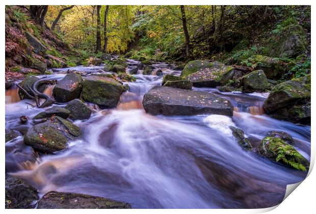 Padley Gorge Peak District Print by Tim Hill