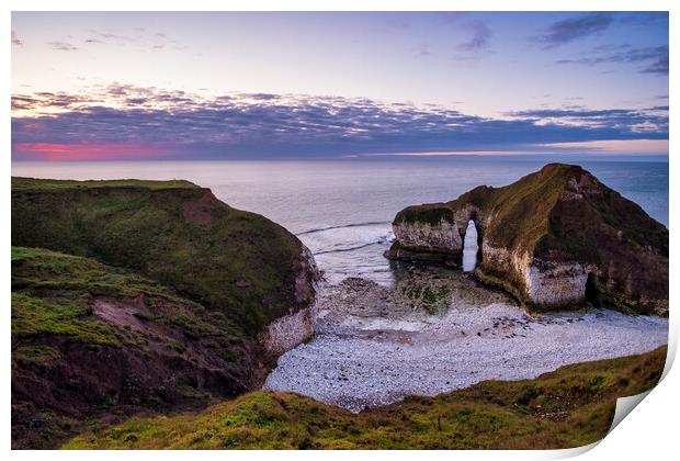 The Drinking Dinosaur, Flamborough Head  Print by Tim Hill