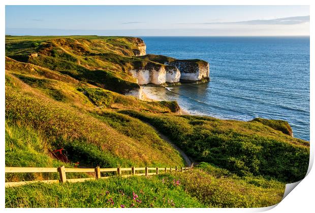 Flamborough Head Print by Tim Hill