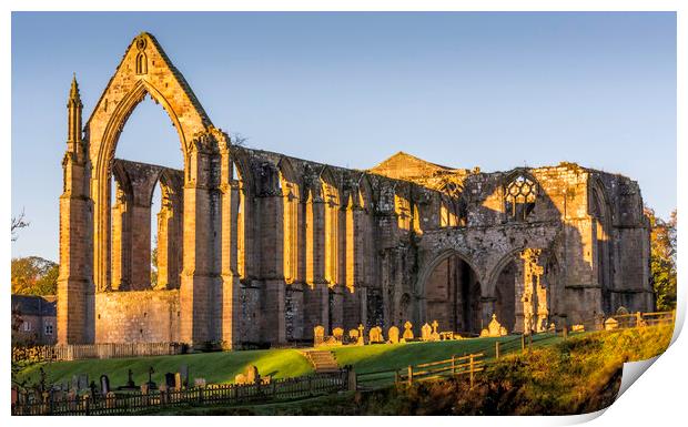 Bolton Abbey Yorkshire Dales Print by Tim Hill