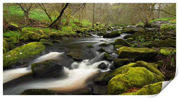 Hebden Beck Near Hardcastle Crags Print by Tim Hill