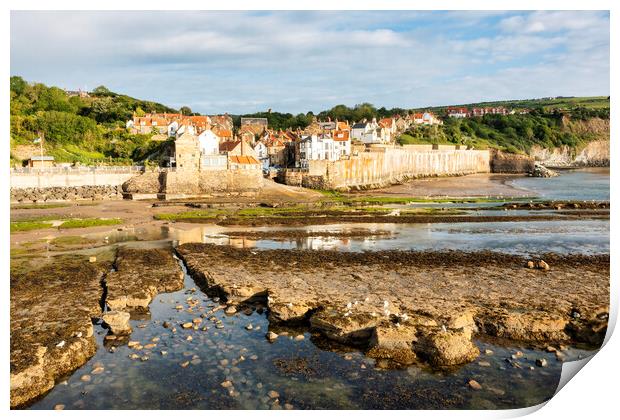 Seagull and Rock pools, Robin Hoods Bay Print by Tim Hill