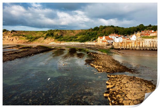 Seagull feed at Robin hoods Bay Print by Tim Hill