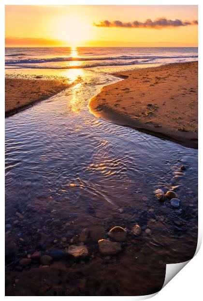 Golden Hour Glory Print by Tim Hill