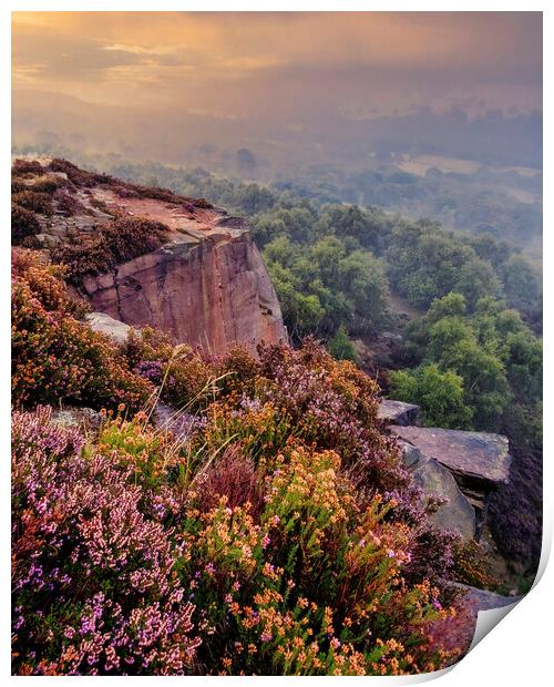 Majestic Sunrise Over Heather Print by Tim Hill