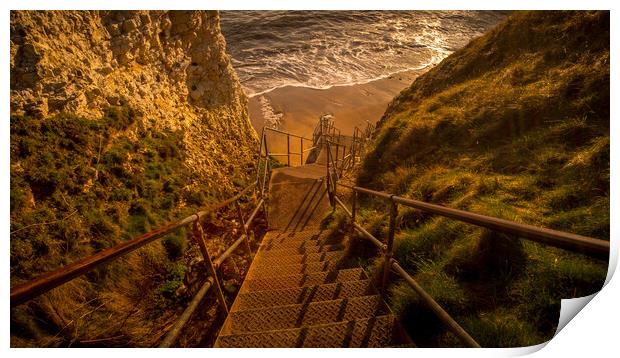 Flamborough Head East Yorkshire Print by Tim Hill