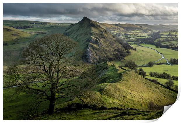 Chrome Hill Lone Tree ~ Derbyshire Peak District Print by Tim Hill