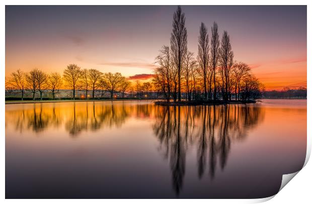 Pontefract Park Lake, West Yorkshire Print by Tim Hill