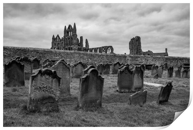 Whitby Abbey Print by Tim Hill
