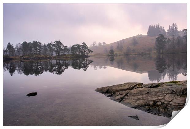Daybreak at Tarn Hows Print by Tim Hill