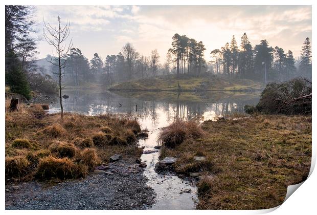 Serene Reflections at Misty Tarn Hows Print by Tim Hill