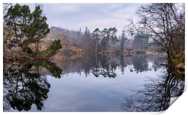 Misty Tarn Hows Reflections Print by Tim Hill