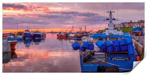 Seahouses Harbour Sunrise Print by Tim Hill