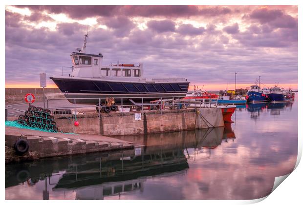 Seahouses Harbour Print by Tim Hill