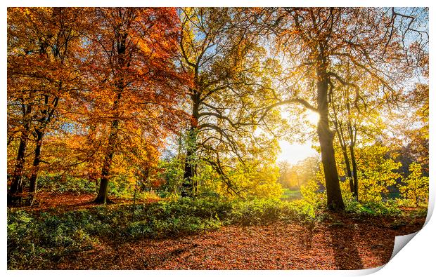 Autumn Sunrise Wakefield Print by Tim Hill