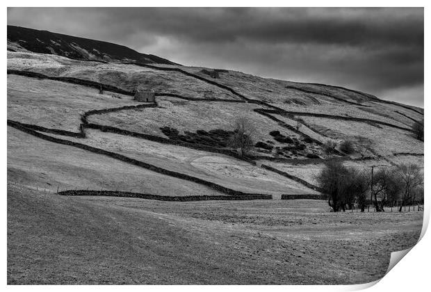 Swaledale Countryside Black and White Print by Tim Hill