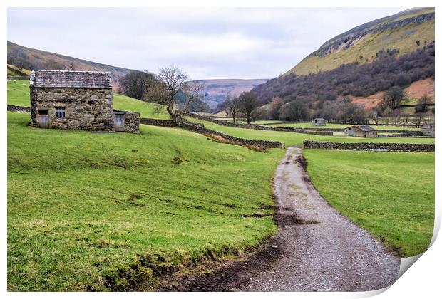 Swaledale Landscape Print by Tim Hill