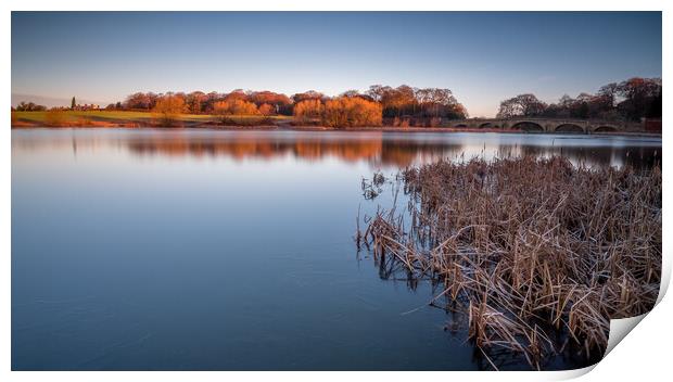Nostell Top Lake near Wakefield Print by Tim Hill