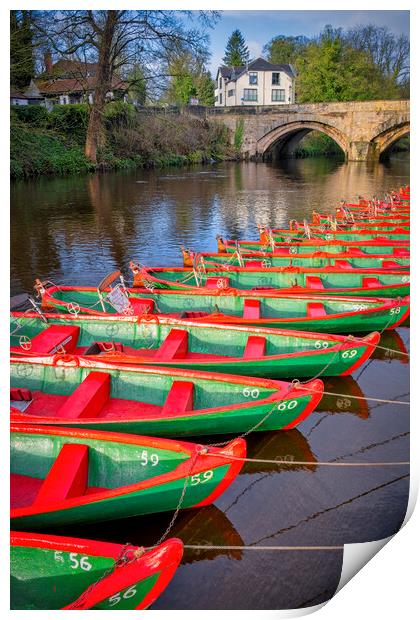 Serene Springtime Rowing on River Nidd Print by Tim Hill