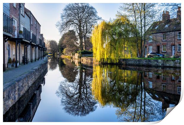 Reflections of Ripon Print by Tim Hill