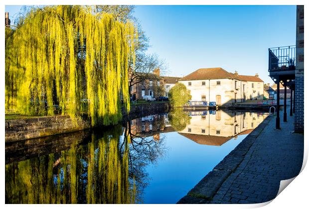 Ripon Canal Reflections, North Yorkshire Print by Tim Hill