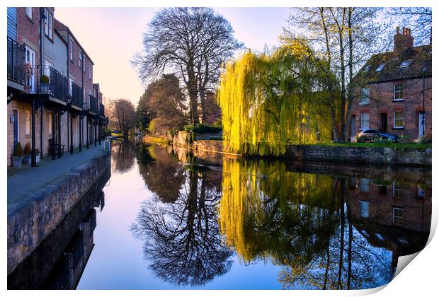 Tranquil Canal Waters Reflect Ripons Scenic Beauty Print by Tim Hill