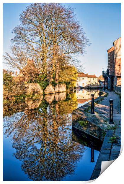 Serenity on Ripon Canal Print by Tim Hill