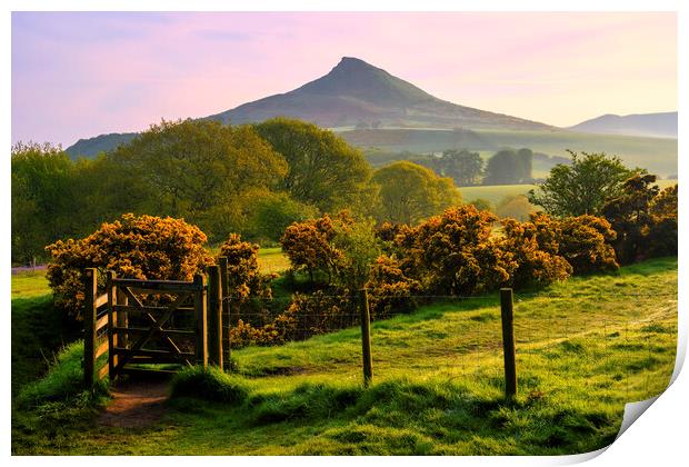 Roseberry Topping: North Yorkshire Gem Print by Tim Hill