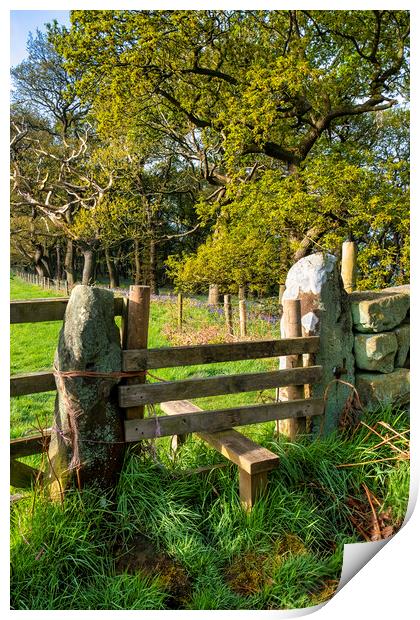 wooden Stile to Newton Woods in North Yorkshire Print by Tim Hill