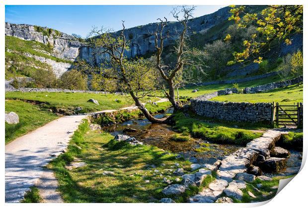 Iconic Yorkshire Dales Landscape: Malham Cove Print by Tim Hill