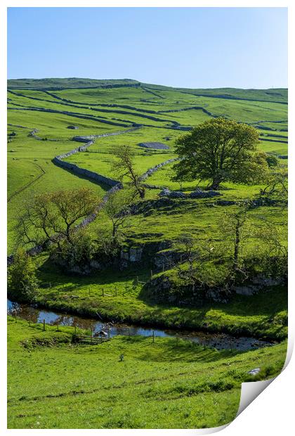 Malham Beck: Rolling Yorkshire Dales Hills Print by Tim Hill