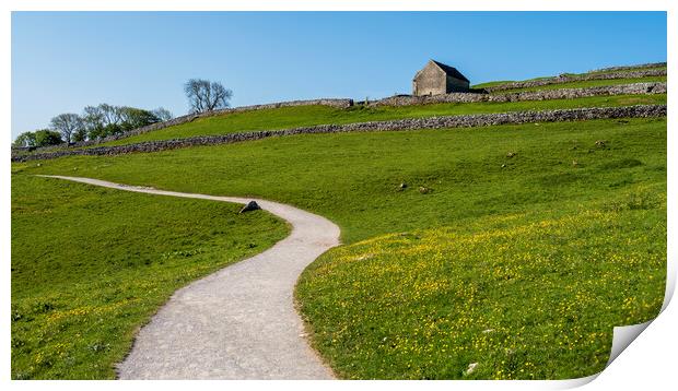 Yorkshire Dales Meadow: Malham Print by Tim Hill