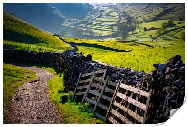 Dry Stone Wall Terrace: Malham Landscape Print by Tim Hill