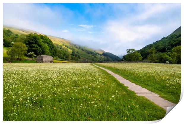 Into the Blue: Muker Wildflower Meadows Print by Tim Hill