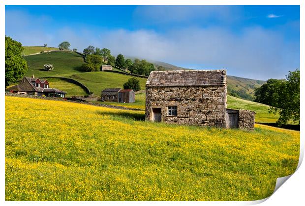 Muker Buttercup Meadows, Upper Swaledale Print by Tim Hill