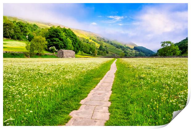 Muker Wildflower Meadows: Yorkshire Dales Print by Tim Hill