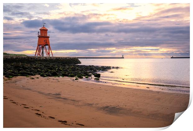 Herd Groyne Lighthouse Print by Tim Hill