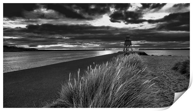 Herd Groyne Black and White Print by Tim Hill