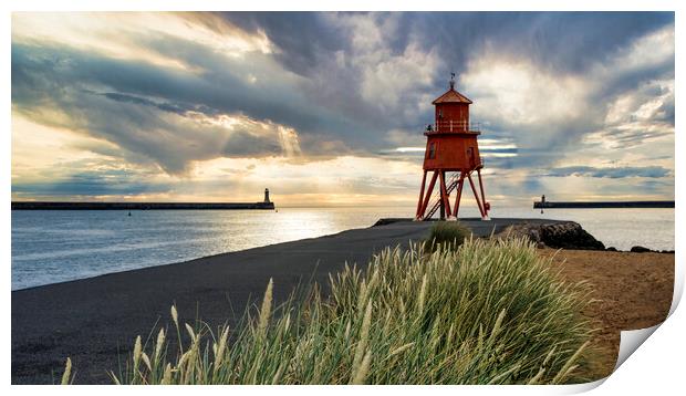 Herd Groyne Lighthouse Print by Tim Hill