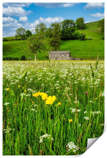 Muker Wildflower Meadow, North Yorkshire Print by Tim Hill