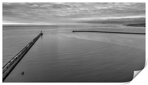 Tynemouth Black and White Print by Tim Hill