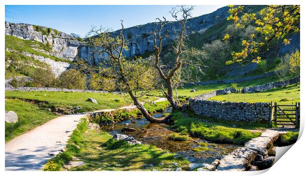 Malham Cove and Malham beck: Yorkshire Dales Print by Tim Hill
