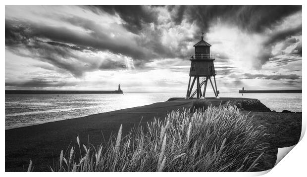 Herd Groyne Black and White Print by Tim Hill